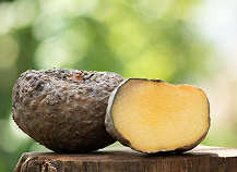 GLUCOMANNAN